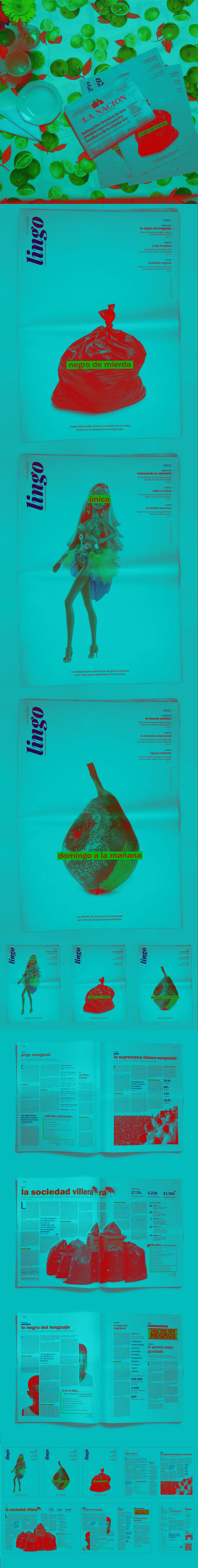 lingo newspaper supplement on the dinning table, lingo's three editions' covers and one inside